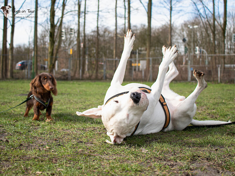 Bild von Schulterblick