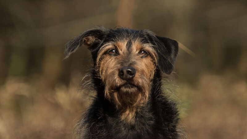 Bild von Verhaltenstherapie