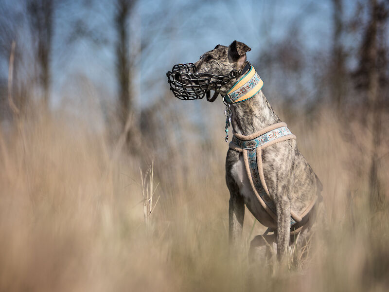 Bild von Verhaltenstherapie