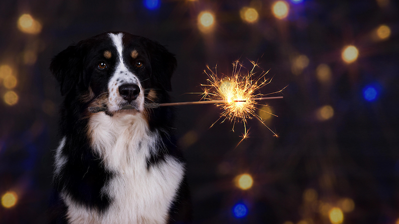 Bild von Silvesterangst - Vortrag (präsenz)