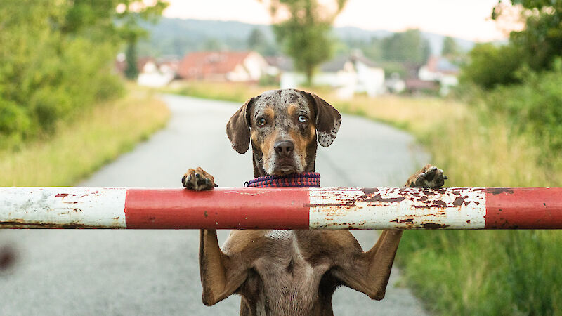 Bild von Erlebnis-Spaziergang