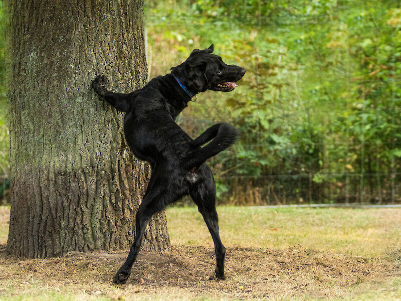 Bild von Erlebnis-Spaziergang