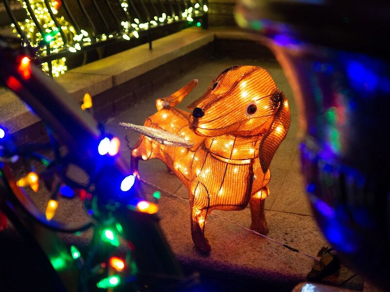 Bild von Tipps für Silvester