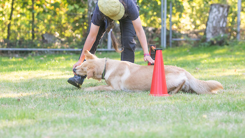 Bild von Sport Check