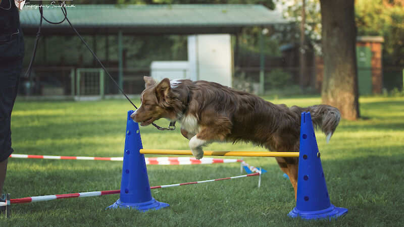Bild von Spaß am Kreis