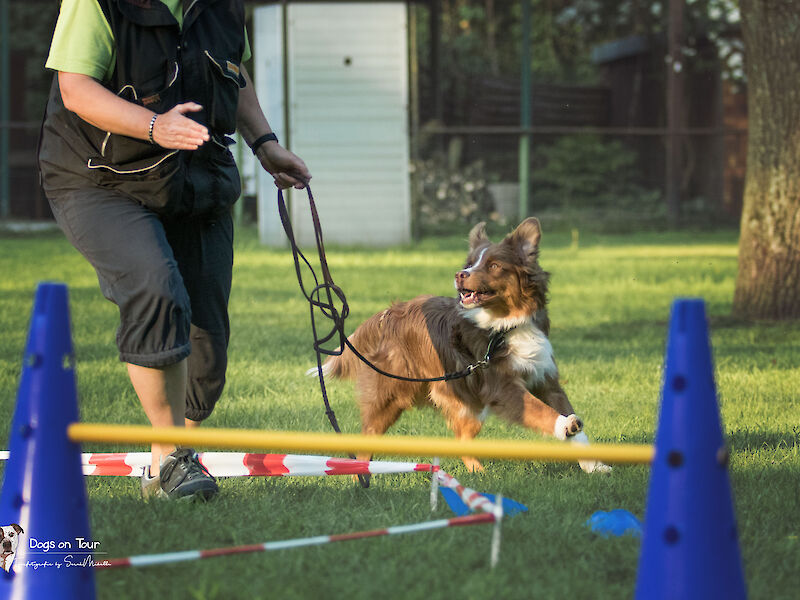 Bild von Spaß am Kreis